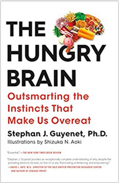 Guyenet, Stephan, The Hungry Brain (Vermillion 2017)